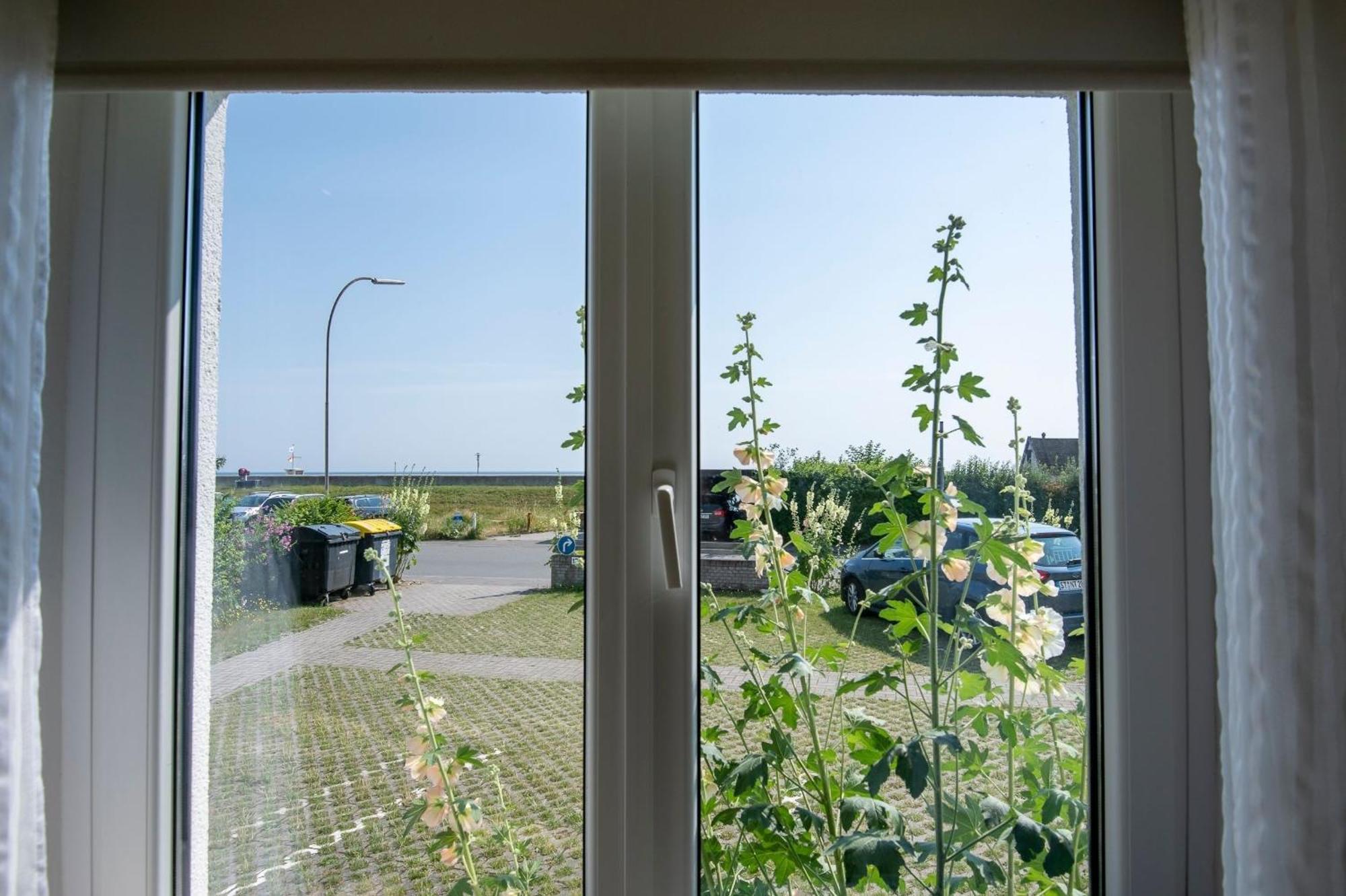 Haus An Der See Seenelke 达默 外观 照片